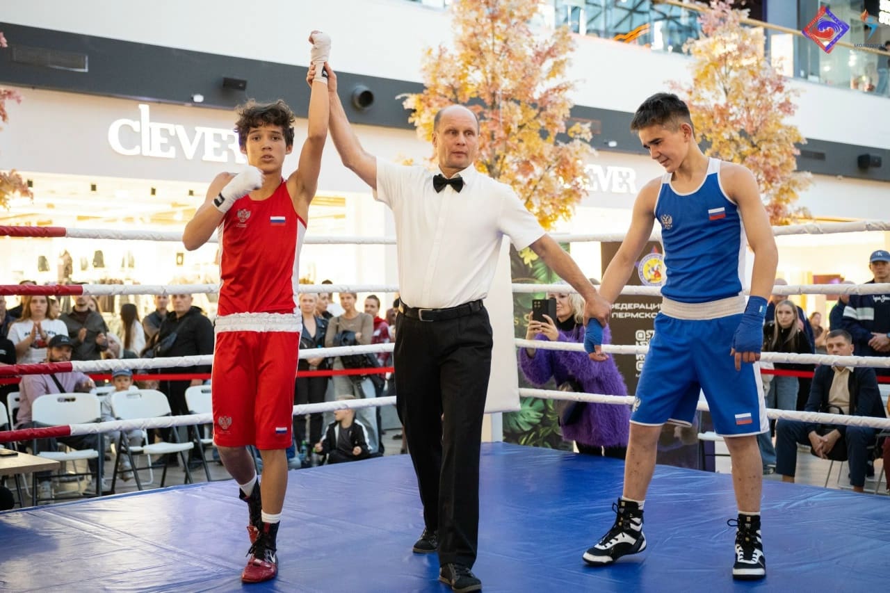 🥊 Бокс и самбо встретились на одной площадке!